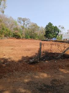 40 Cent Housing Plot for Sale Plot View 2