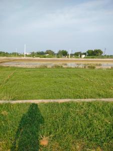 Sargam enclave Plot View 3