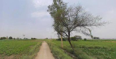 Image of 4047 Sq.ft Residential Plot / Land for sale in Nagalia, Palwal for Rs. 66000000