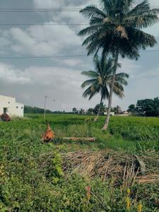 Nava bengaluru housing socity Plot View 3