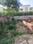 Sector 115 Plot View 2