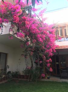 Image of 9600 Sq.ft 4 BHK Villa for sale in Kyalasanahalli, Bengaluru for Rs. 84000004