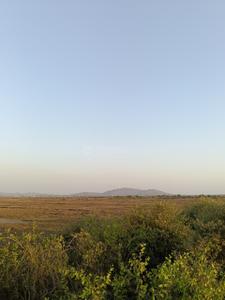 Image of 2500 Sq.ft Residential Plot / Land for sale in Uran, Navi Mumbai for Rs. 600000