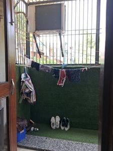 Drying Area Image of 1125 Sq.ft 3 BHK Builder Floor for sale in Paschim Vihar New Delhi for Rs. 19100000