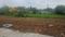 Barela Plot View 2