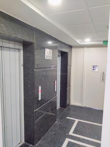 Hall Image of 1500 Sq.ft 3 BHK Builder Floor for rent in Sector 5 Rohini New Delhi for Rs. 38000