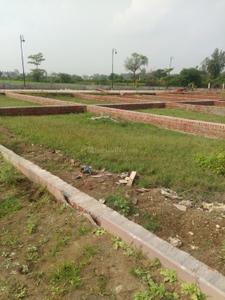 Plot View