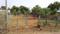 Perur Chettipalayam Main Image 1