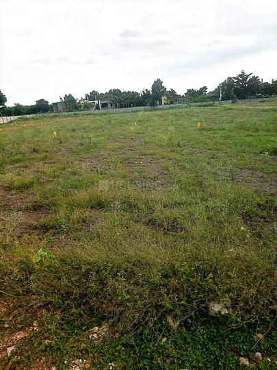 Nandigama Main Image 1
