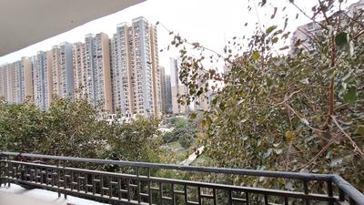 Balcony Image of OLESTAYS  in Noida Extension, Greater Noida