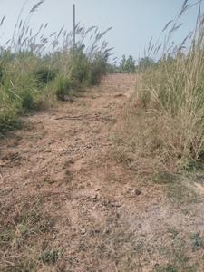Image of 3000 Sq.ft Residential Plot / Land for sale in Suman Nagar, Haridwar for Rs. 1900000