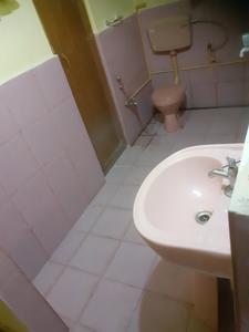 Bathroom Image of Mamta  Ladies Veg PG in Dhapa, Kolkata