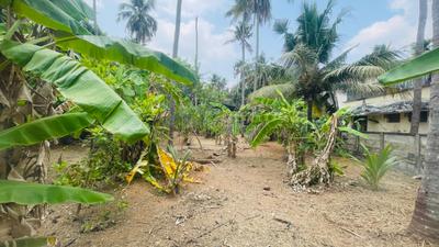 Image of 7405 Sq.ft Residential Plot / Land for sale in Chiyyaram, Thrissur for Rs. 12750000