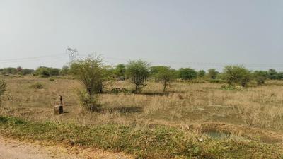 Sector 19 Plot View 2