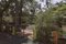 Bagh Sevania Plot View 2