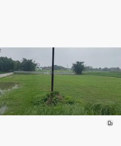 Image of 25000 Sq.ft Residential Plot / Land for sale in Phulpur, Varanasi for Rs. 800000