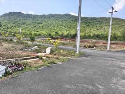 Leo Royal Plot View 2