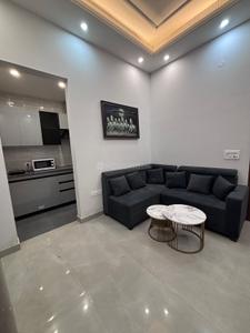 Hall Image of 800 Sq.ft 1 BHK Independent House for rent in DLF Phase 3 Gurgaon for Rs. 42000