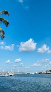 Image of 493 Sq.ft Residential Plot / Land for sale in Alto- Betim Porvorim, Goa for Rs. 70000000