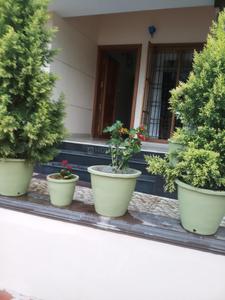Image of 2100 Sq.ft 3 BHK Independent House for rent in Karakulam, Thiruvananthapuram for Rs. 20000