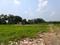 Bratachari Gram Plot View 2