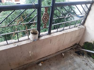 Balcony Image of 1700 Sq.ft 3 BHK Apartment / Flat for sale in Lalpur Ranchi for Rs. 7500000