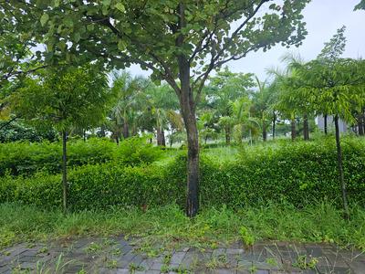 Image of 1264 Sq.ft Residential Plot / Land for sale in DLF Gardencity, Manglia, Indore for Rs. 5680000