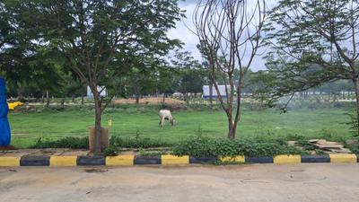 NEW HMDA VENTURE CHERLAPALLI ECIL Plot View 3