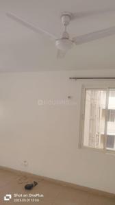 Hall Image of 945 Sq.ft 2 BHK Apartment / Flat for rent in Stellar Jeevan, Noida Extension Greater Noida for Rs. 16000