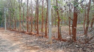 Hebbal Industrial Estate Plot View 2