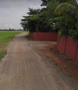 Image of 2400 Sq.ft Residential Plot / Land for sale in Khordha, Khordha District for Rs. 3000000