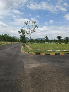 SAI  NAGAR Plot View 2