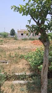 Sector 112 Plot View 1