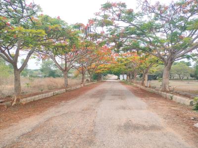 Image of 2928 Sq.ft Residential Plot / Land for sale in Madivala, Bengaluru for Rs. 13901777