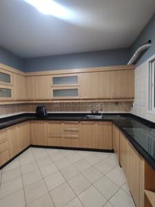 Kitchen Image of 1770 Sq.ft 3 BHK Apartment / Flat for sale in Sobha Chrysanthemum by Sobha Limited, Thanisandra Bengaluru for Rs. 24300000
