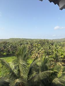 Balcony Image of 1829 Sq.ft 3 BHK Apartment / Flat for sale in Assagao Goa for Rs. 41000000