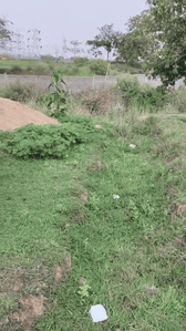 Image of 435 Sq.ft Residential Plot / Land for sale in Namkum, Ranchi for Rs. 1100000