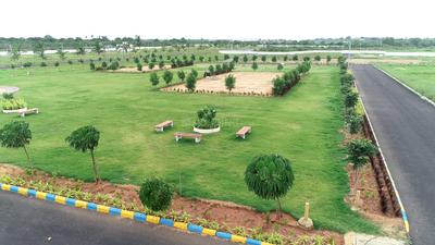Moolacheri Plot View 2