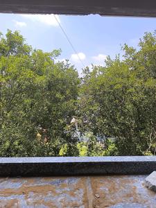Living Room Image of 3150 Sq.ft 5 BHK Apartment / Flat for sale in Vajarahalli Bengaluru for Rs. 29000050