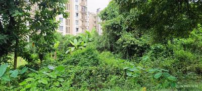 Image of 18000 Sq.ft Residential Plot / Land for sale in Rajpur, Kolkata for Rs. 37500000