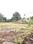 Shree Park Plot View 2