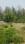 Badasi Green Plot View 2