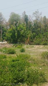 Badasi Green Plot View 2