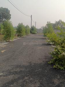 Image of 1250 Sq.ft Residential Plot / Land for sale in Bodri, Bilaspur for Rs. 1500000
