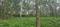 Rayamangalam Main Image 1