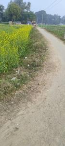 Image of 18900 Sq.ft Residential Plot / Land for sale in Mirzamurad, Varanasi for Rs. 17500000