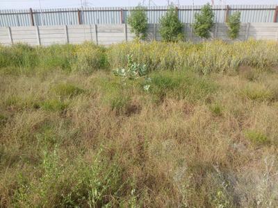 Image of 1539 Sq.ft Residential Plot / Land for sale in Garden 28 Pataudi, Farukh Nagar, Gurgaon for Rs. 15390000