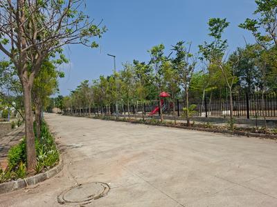 BVL Premio Phase 2 Plot View 3