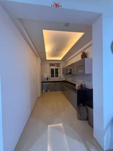 Kitchen Image of 1650 Sq.ft 3 BHK Apartment / Flat for rent in Shree Ram Ram Green Park, Heerawala Jaipur for Rs. 24000