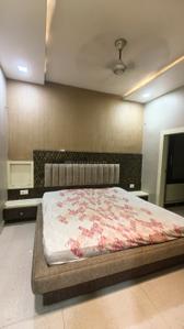 Bedroom Image of 2000 Sq.ft 2 BHK Apartment / Flat for rent in Mangla Bilaspur for Rs. 35000